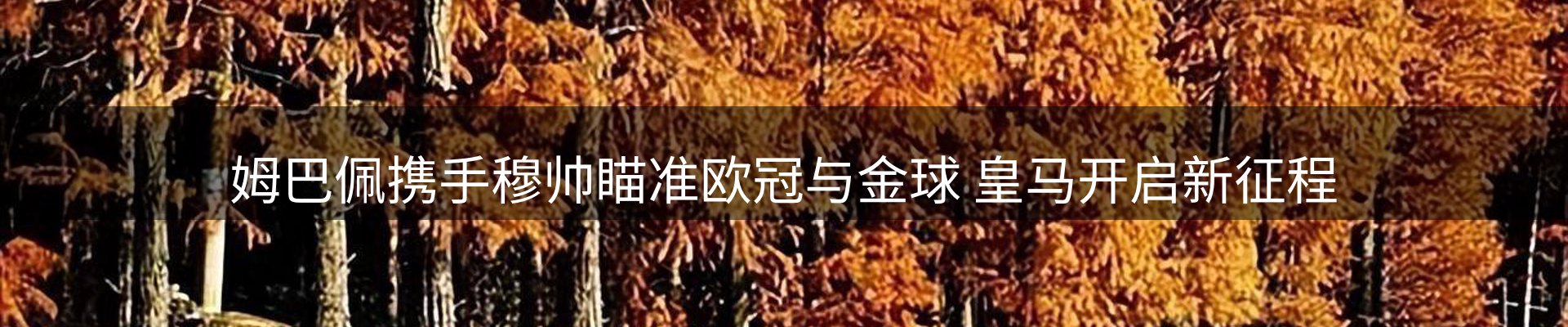 lewin要闻